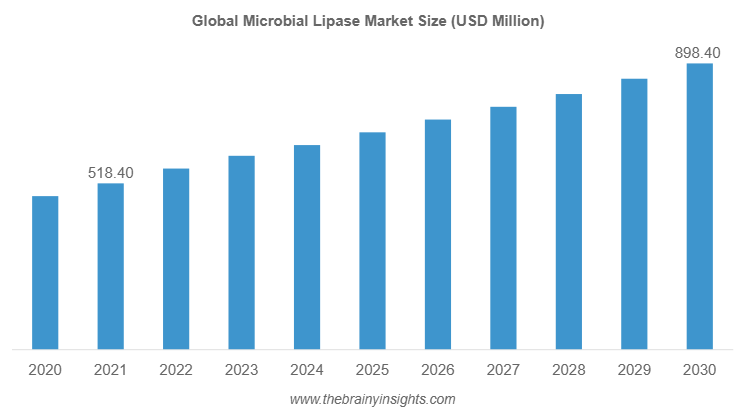 Microbial Lipase Market