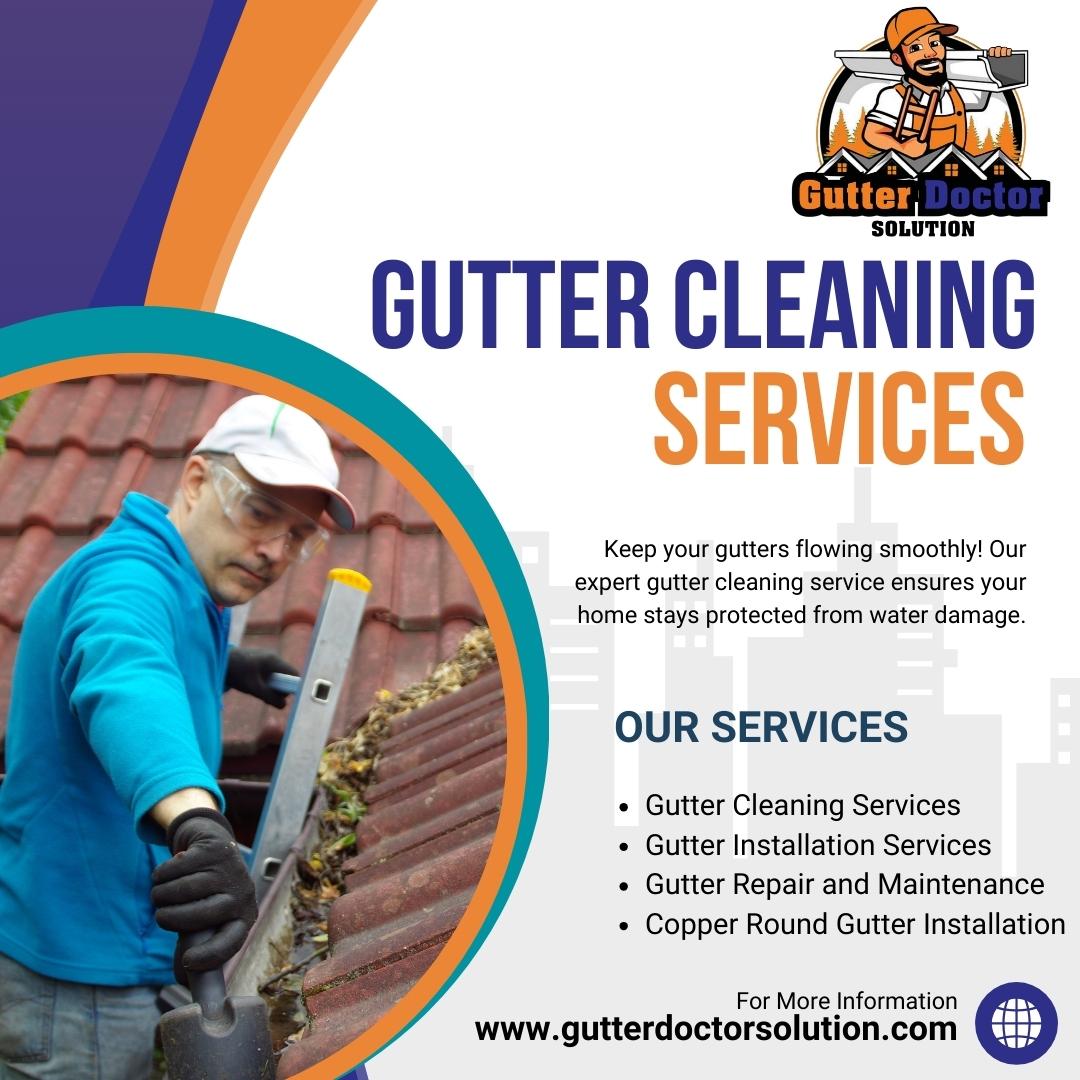Gutter Cleaning Services
