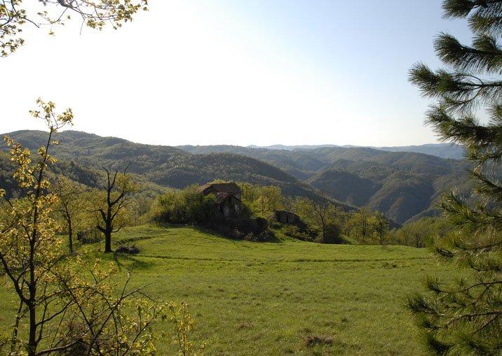 Best Property in Piemonte