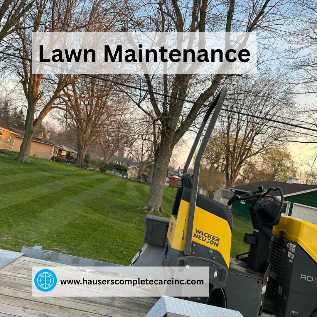 Lawn Maintenance