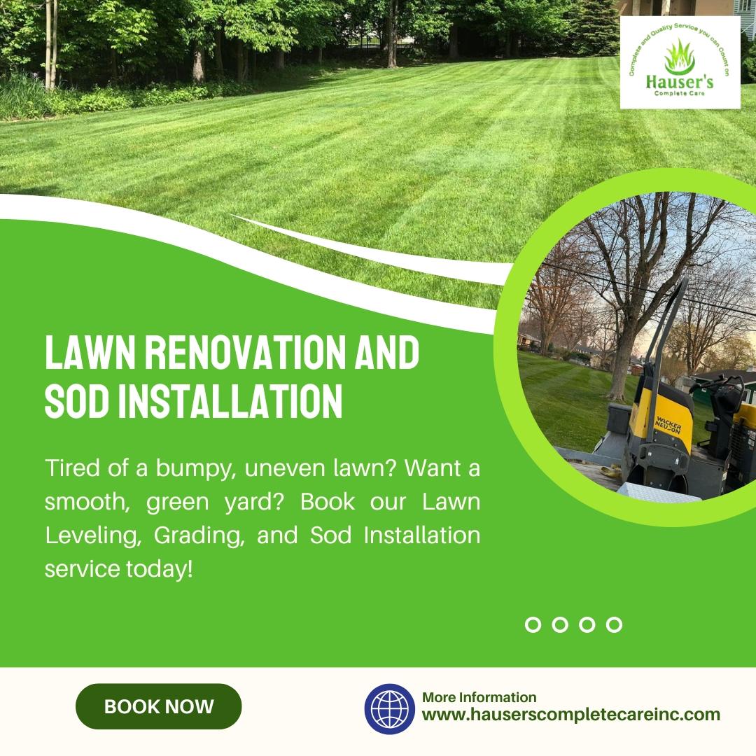 Lawn Renovation and Sod Installation