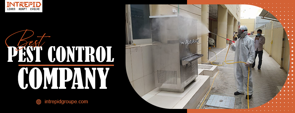 best pest control in Dubai