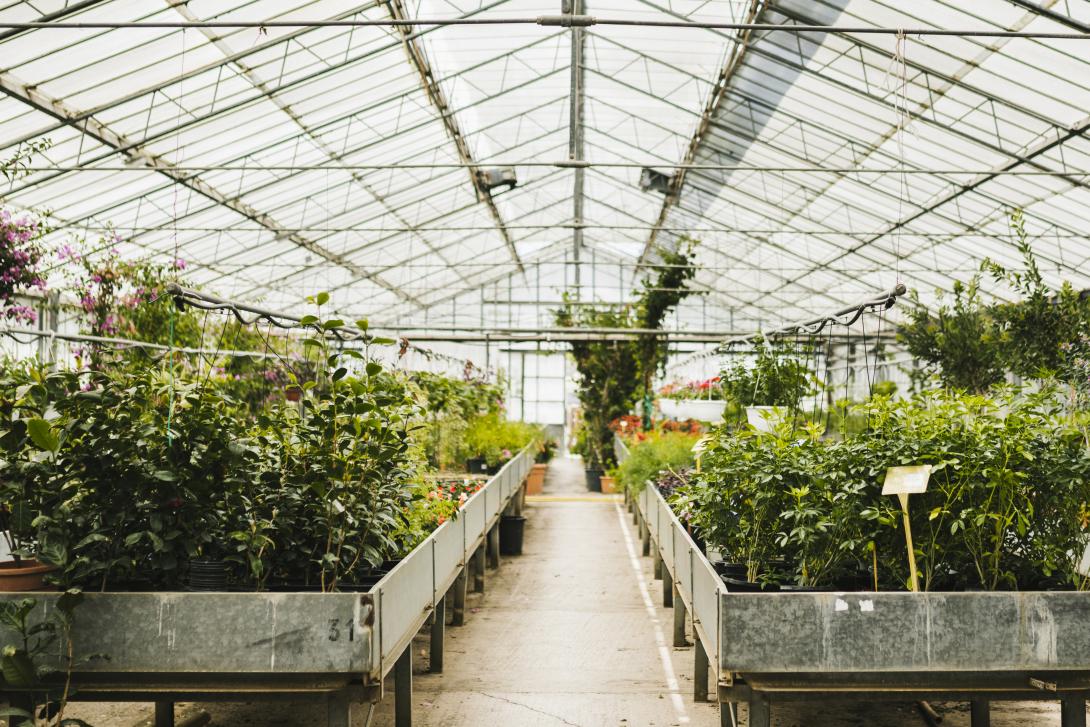 greenhouse equipment suppliers