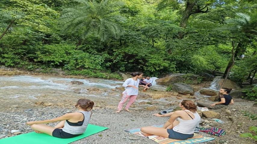 "Why Choose an Ayurveda Retreat in Rishikesh for Your Wellness Journey"