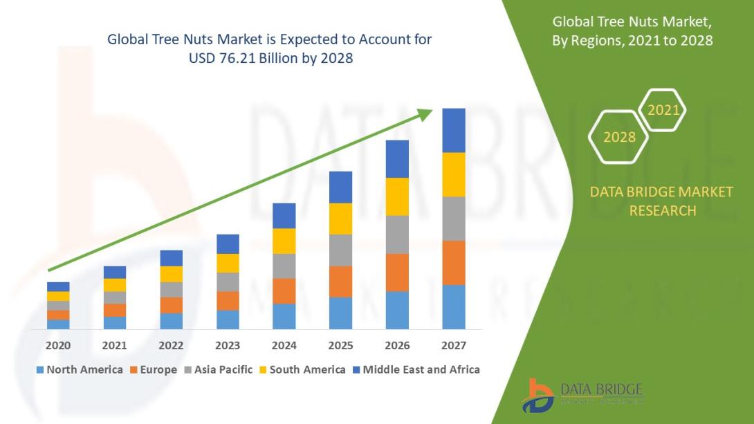 Tree Nuts Market Size, Tree Nuts Market Share, Tree Nuts Market Trend, Tree Nuts Market Analysis, Tree Nuts Market Report, Tree Nuts Market Growth,  Latest Developments in Tree Nuts Market, Tree Nuts Market Industry Analysis, Tree Nuts Market Key Player, Tree Nuts Market Demand Analysis