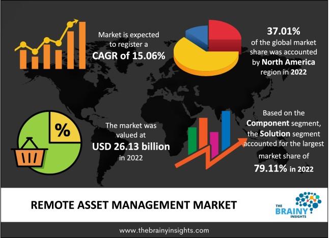 Remote Asset Management Market