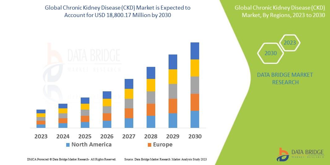 Chronic Kidney Disease (CKD) market 