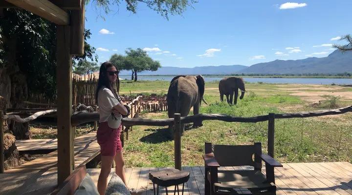 african safari tours zimbabwe