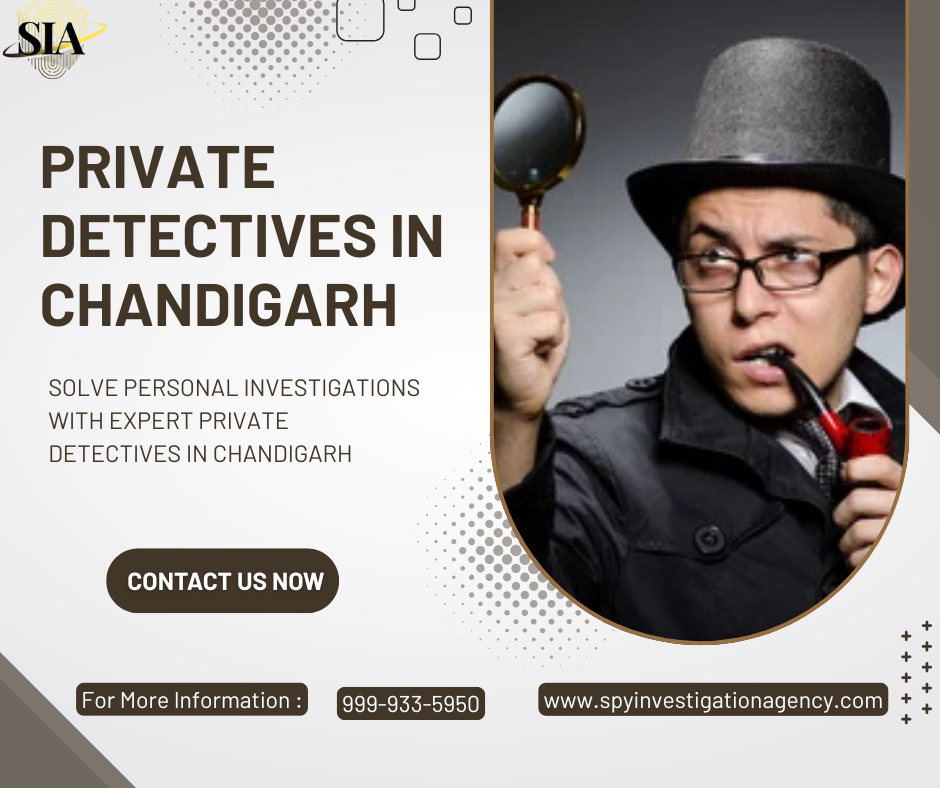 Private Detectives in Chandigarh - Spy Investigation Agency 