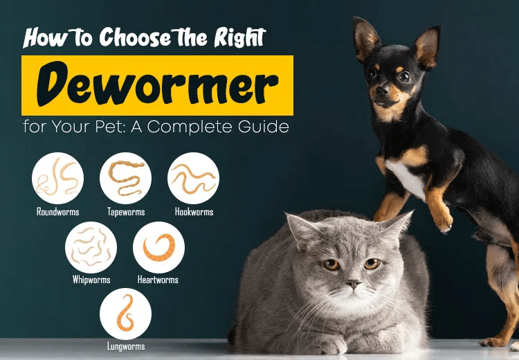 Choose the Right Deworming for Pets