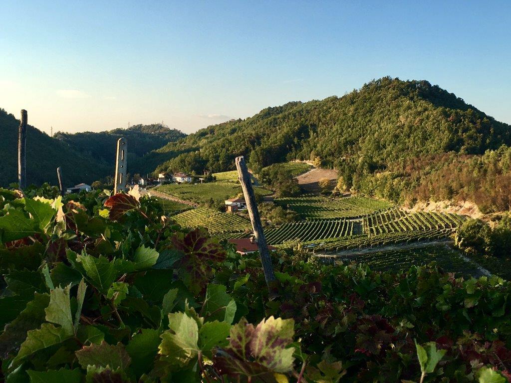 Land with views for Sale in Piemonte