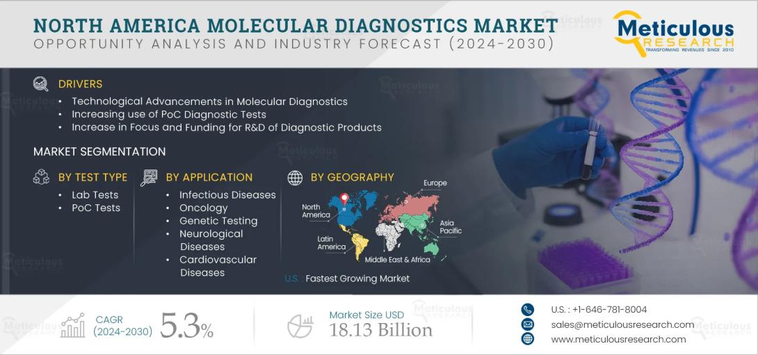 Discover the future of molecular diagnostics in North America. This report highlights growth drivers, regulatory challenges, CAGR variations, and the expanding role of infectious disease testing and direct-to-consumer genetics through 2032.