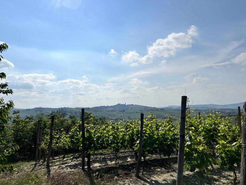 Piemonte Property for Sale