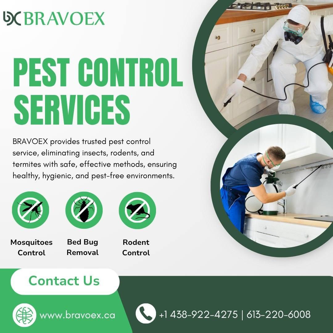 How Often Should You Schedule Pest Services in Ottawa to Stay Protected