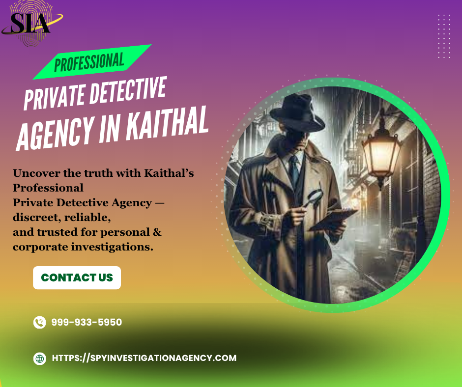 Private Detective agnecy in Kaithal - Spy Investigation Agency 