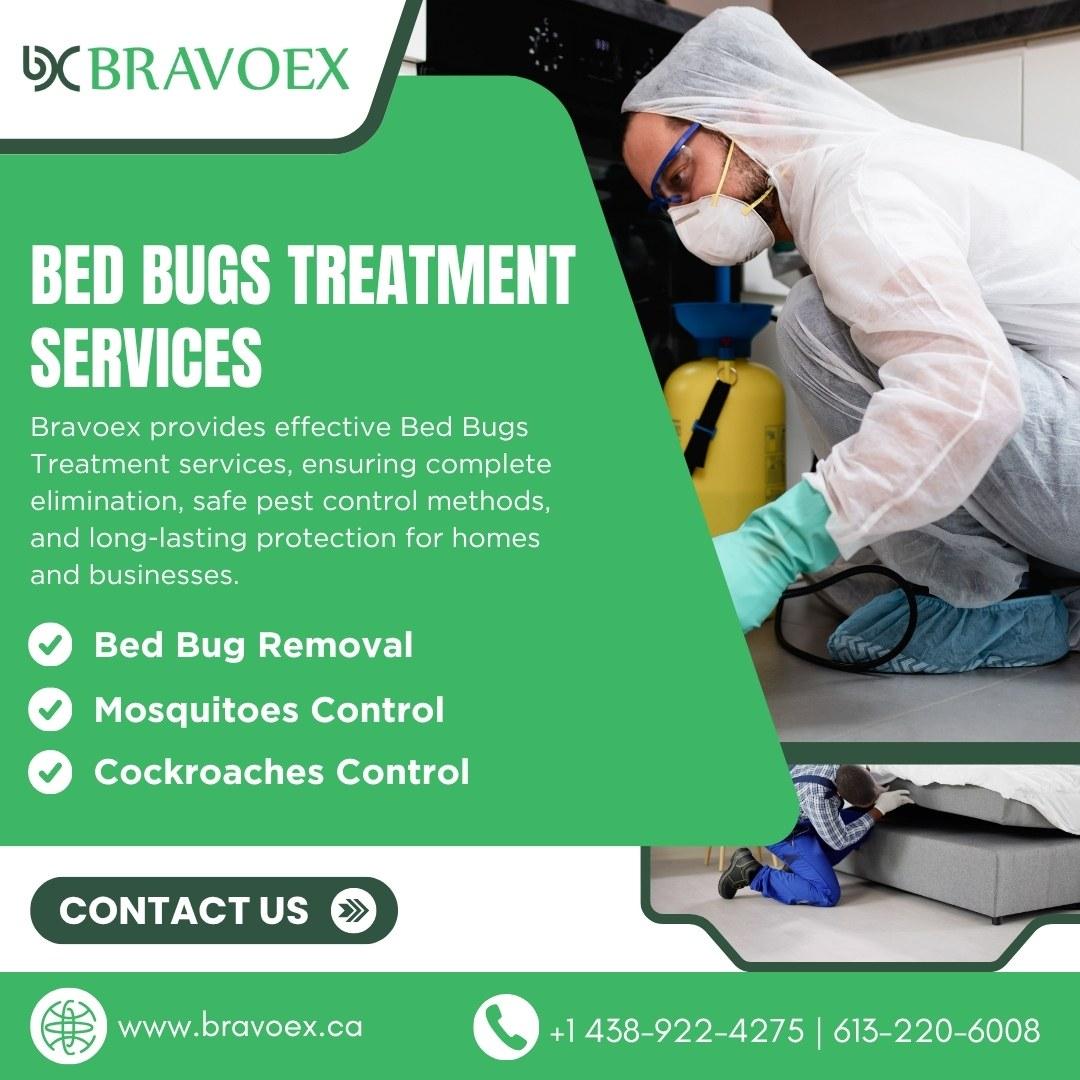 Bed Bug Removal Service in Ottawa