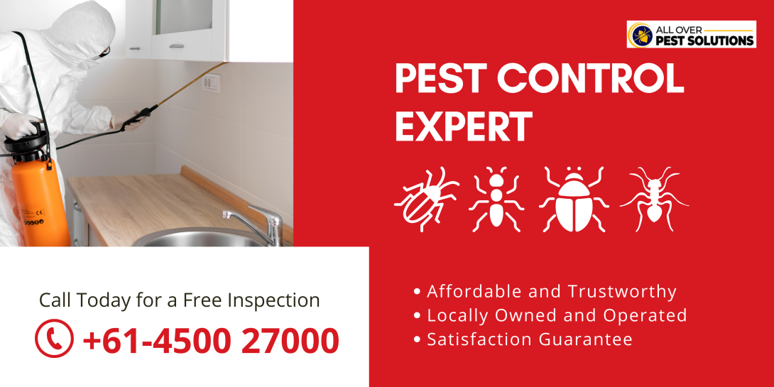 Pest Control in Melbourne