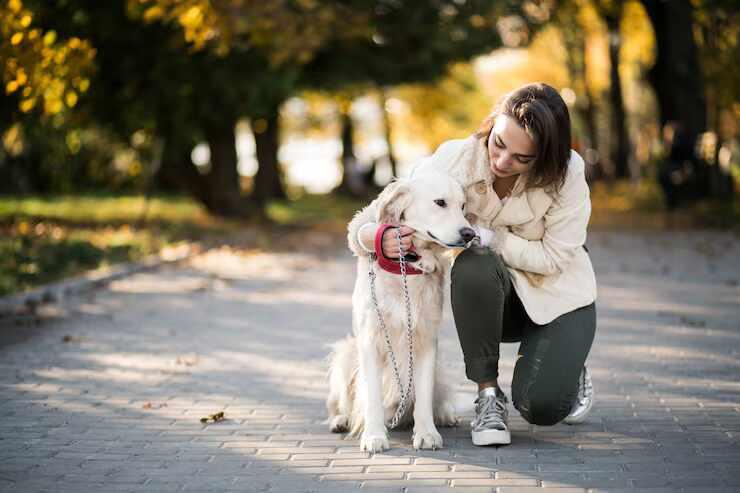 Dog Walkers in Lucknow