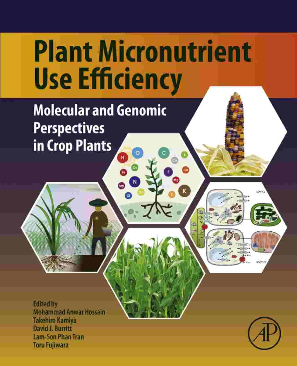 Micronutrient Formulations