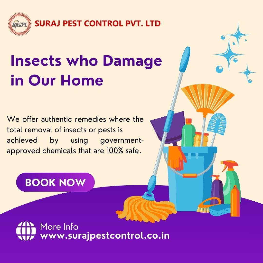 Suraj pest control