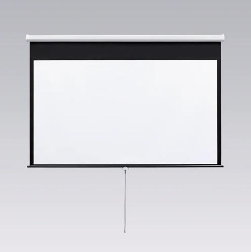 Draper Motorized Screen