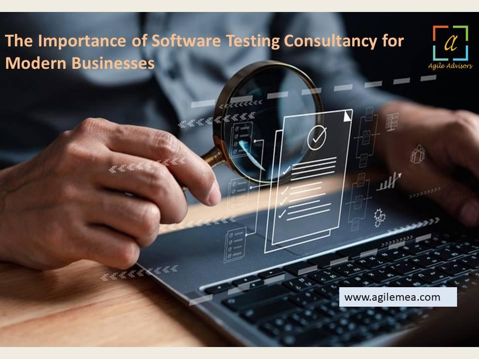 software testing consultancy