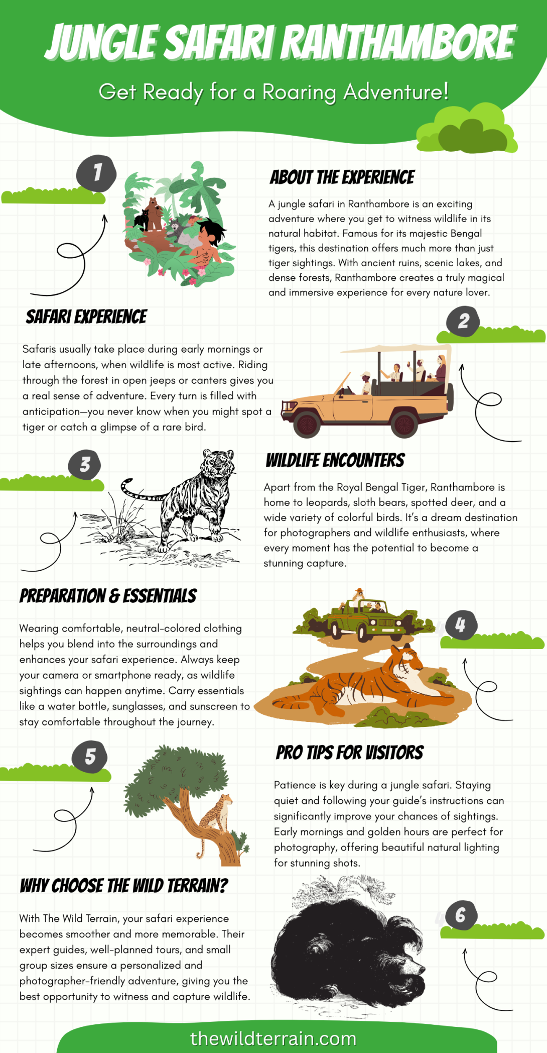  jungle safari Ranthambore