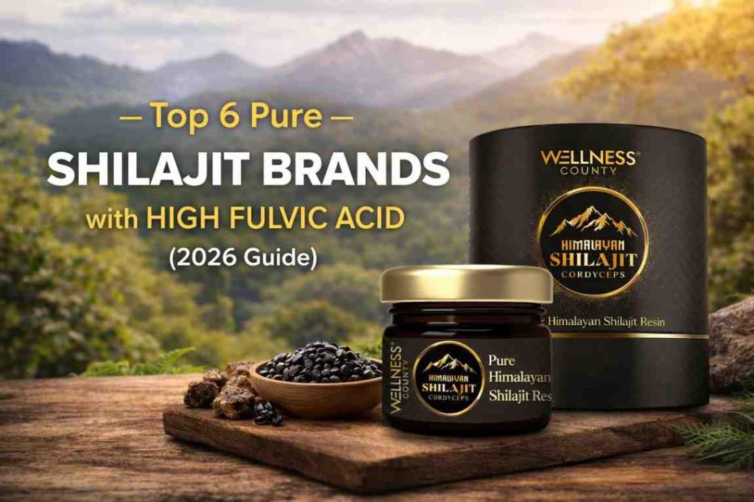 Top 6 Pure Shilajit Brands