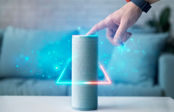 Voice Recognition Market