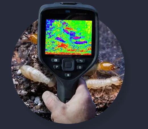 pest control bankstown