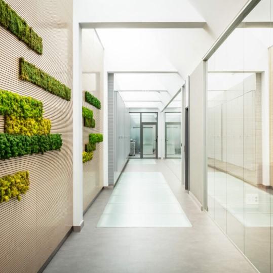 Proyectos jardines verticales