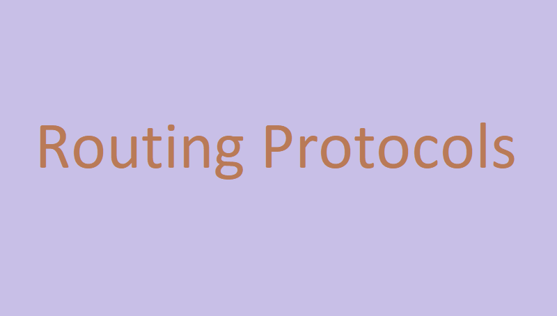 Routing Protocols