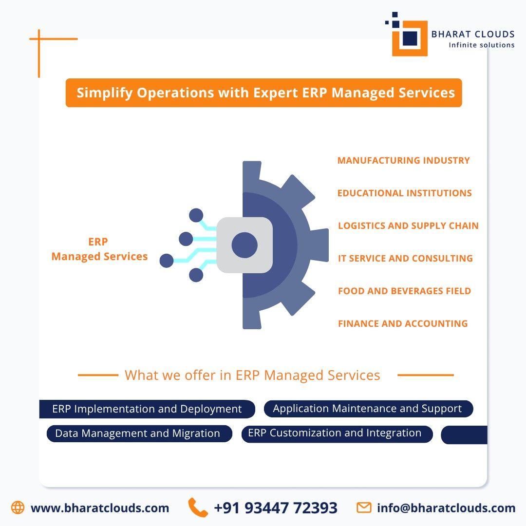 ERP Managed services