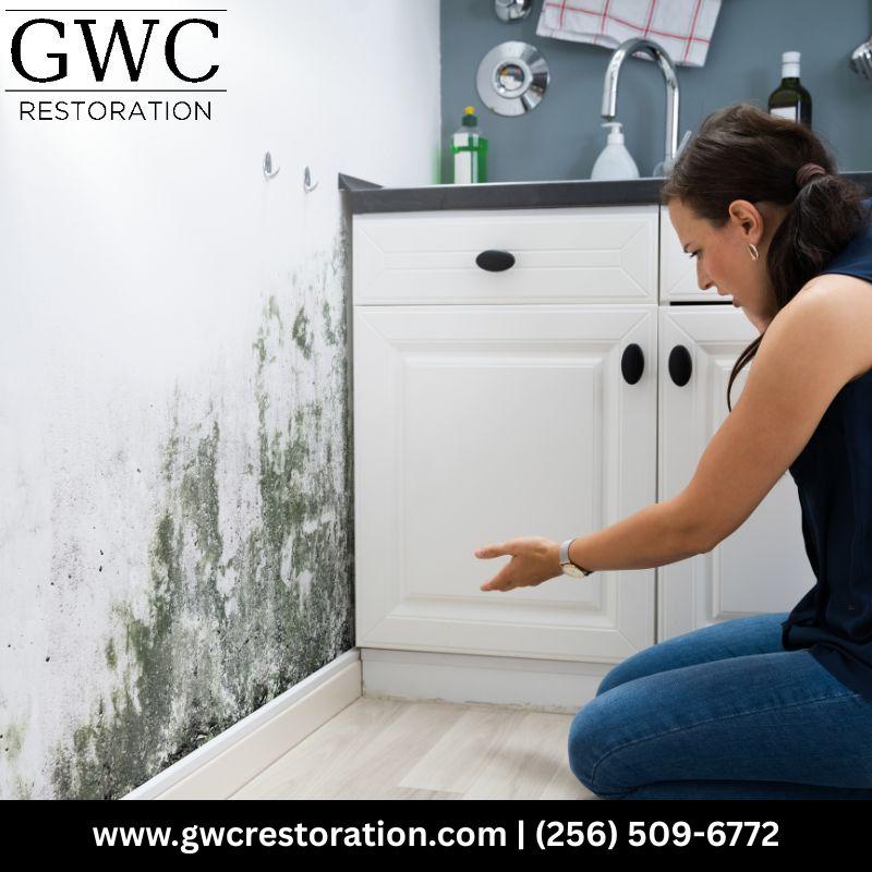 Mold remediation Madison