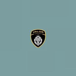 Youth Soccer Leagues