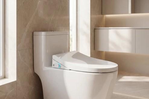 Bidet Seats For Toilets