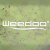 Profile picture for user weedooboats