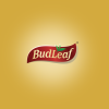 Profile picture for user BudleafTea