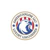 Profile picture for user American Link Limousines
