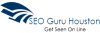 Profile picture for user seoguruhouston